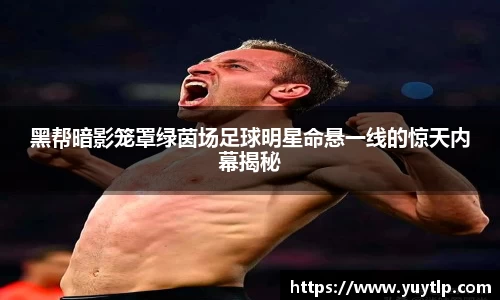 MK体育官方网站